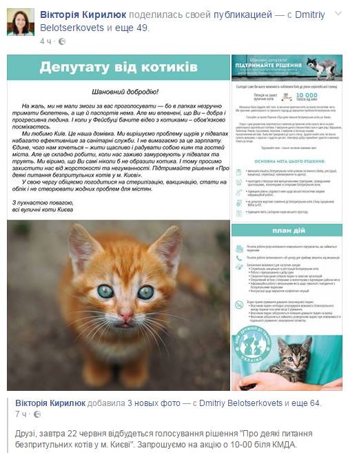 В КГГА хотят изменить решение о защите уличных котов