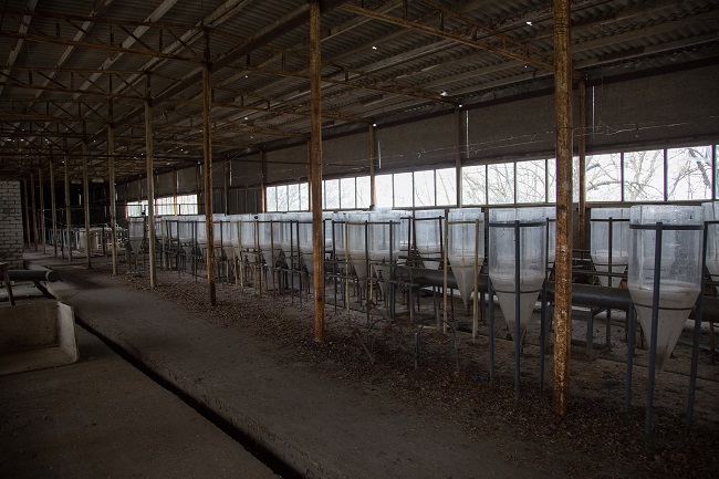 Приміщення колишнього рибного господарства в Чорнобилі