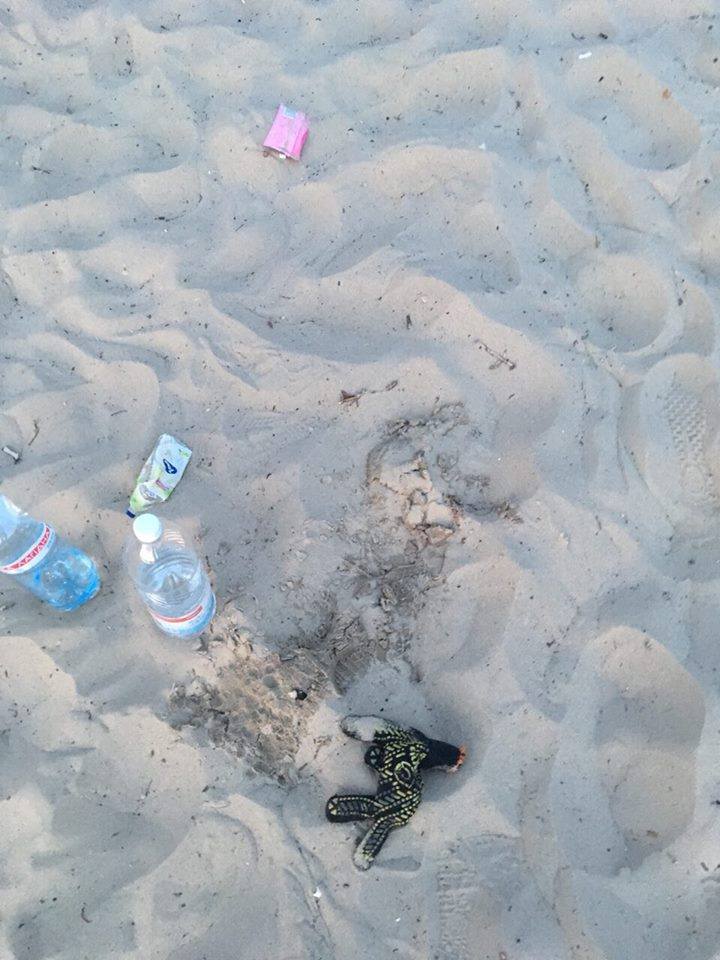 Падение с аттракциона в Киеве: появились детали происшествия (фото)