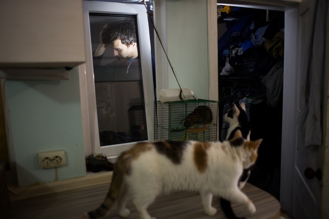 Одна из спасенных Михаилом и его командой, кошек. Животное просидело несколько дней в теплотрассе. Спасателям пришлось пробираться по раскаленным трубам, которые подводили к дому горячую воду, чтобы достать кошку. Когда кошку отловили и принесли в квартиру, она оказалась очень доброй и ручной, но чрезвычайно испуганной. Так у Михаила и Любы поселилась семнадцатая кошка