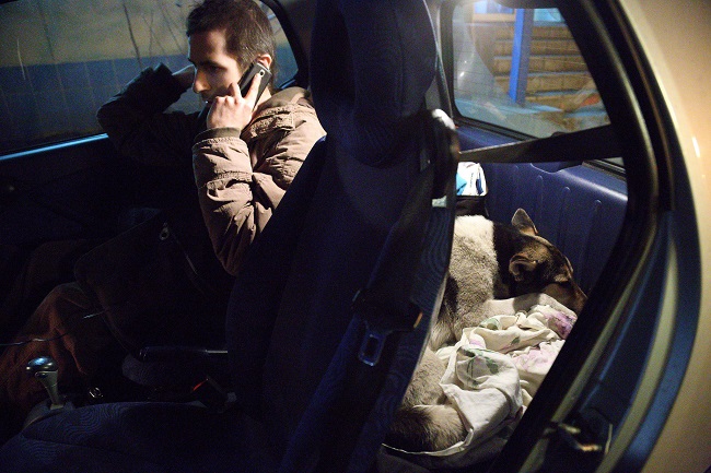 Спасение собак в Киеве 