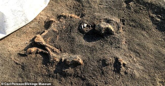 Археологи раскопали древнейшее захоронение возрастом более 8 400 лет
