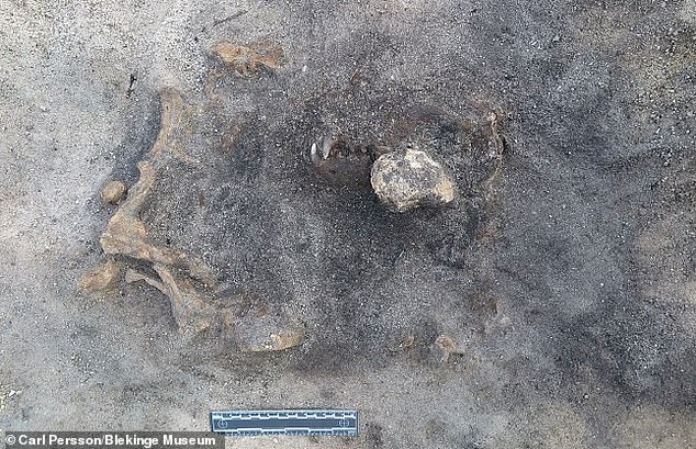 Археологи раскопали древнейшее захоронение возрастом более 8 400 лет
