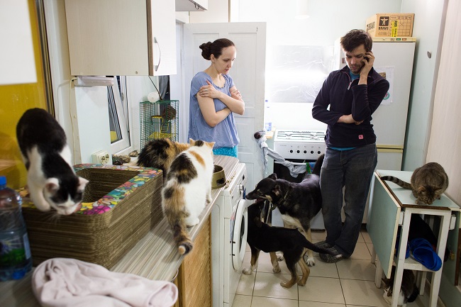 Дома у спасателей животных