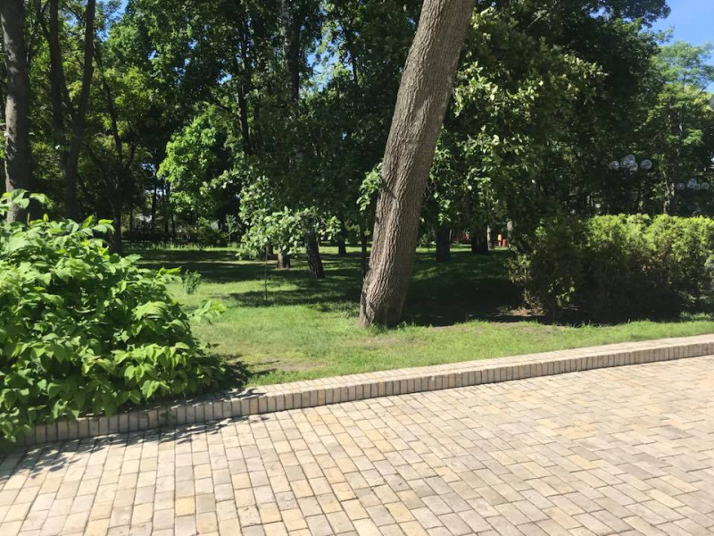 "Як завжди чисто і охайно": комунальники за ніч вичистили Київ після Ліги чемпіонів (фото)