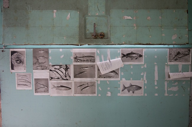 Чорнобильська зона відчуження