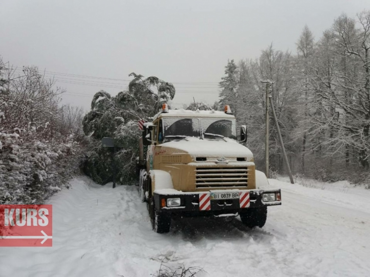 Стало известно о серьезных проблемах с доставкой в Киев главной елки страны (фото)