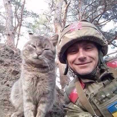 Пушистые патриоты Украины, которые поразили весь мир (фото)