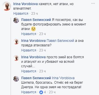 "Гади атакують!": У Києві зафіксували небезпечну рептилію