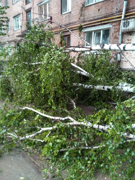 Украинская Венеция: Винницу затопил сильный ливень (фото)