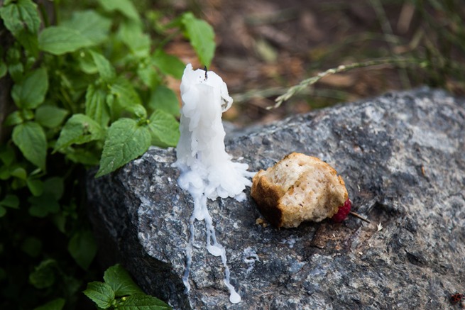 Сам собі екскурсовод: Прогулянка по Лисій горі в Києві