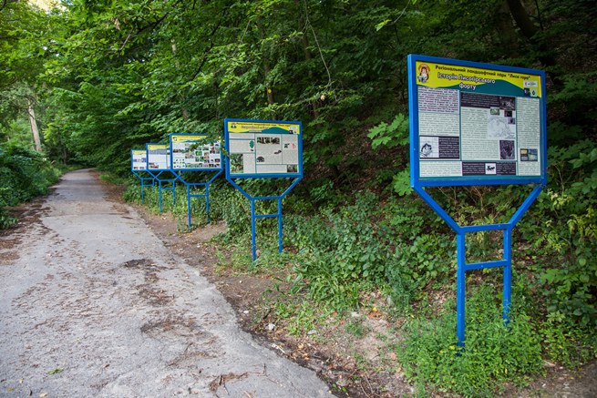 Лисогірський форт