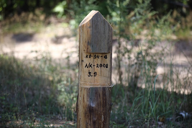 Места вырубки