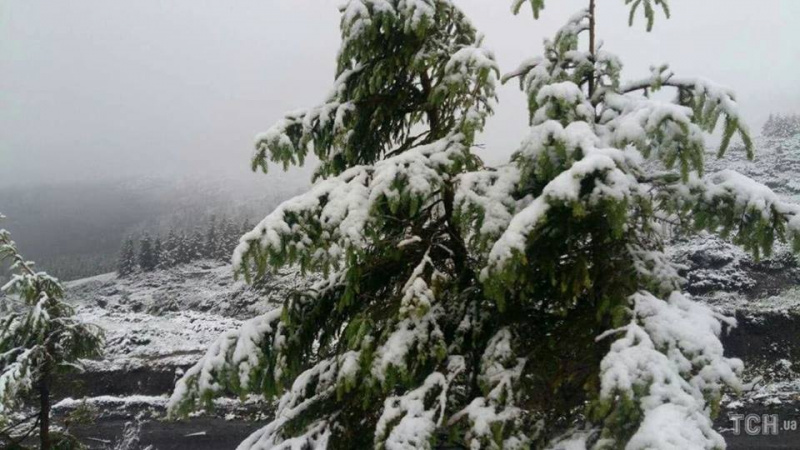 У Карпатах випав сніг: опубліковано фото дитячого табору