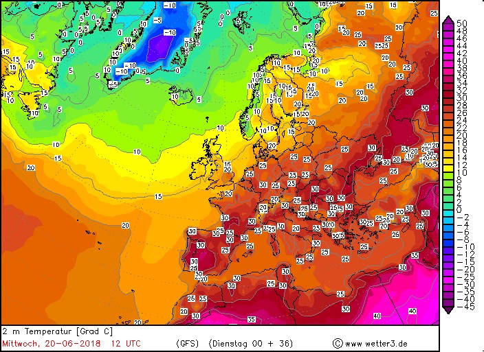 &quot;Немного пшикайте кота&quot;: синоптик предупредила о грядущей жаре
