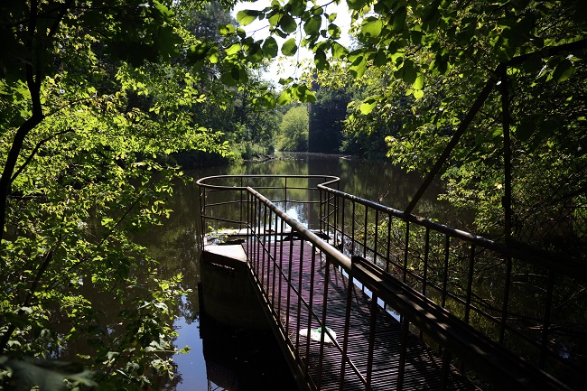 Санатории в Пуща-Водице