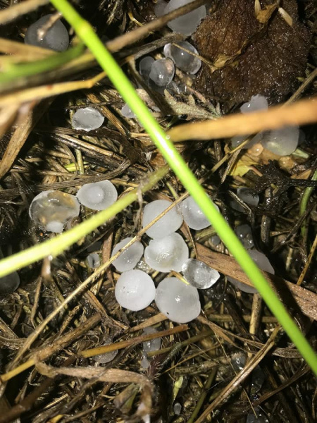 Одеську область побило великим градом