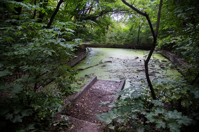 Дача Хрущева 