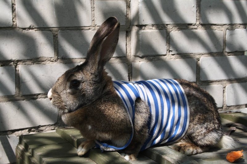 "Каратели": бойцы 93-й бригады рассказали, как их называют враги на фронте