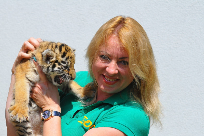 У Луцьку врятували двомісячне тигреня (фото, відео)