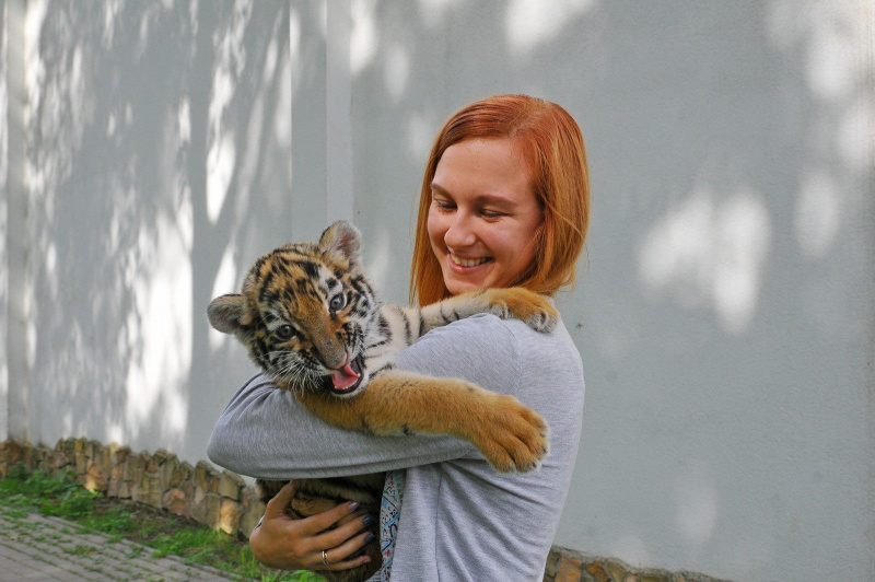 У Луцьку врятували двомісячне тигреня (фото, відео)