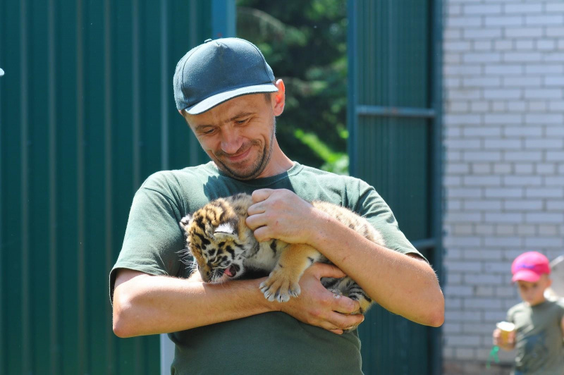 У Луцьку врятували двомісячне тигреня (фото, відео)