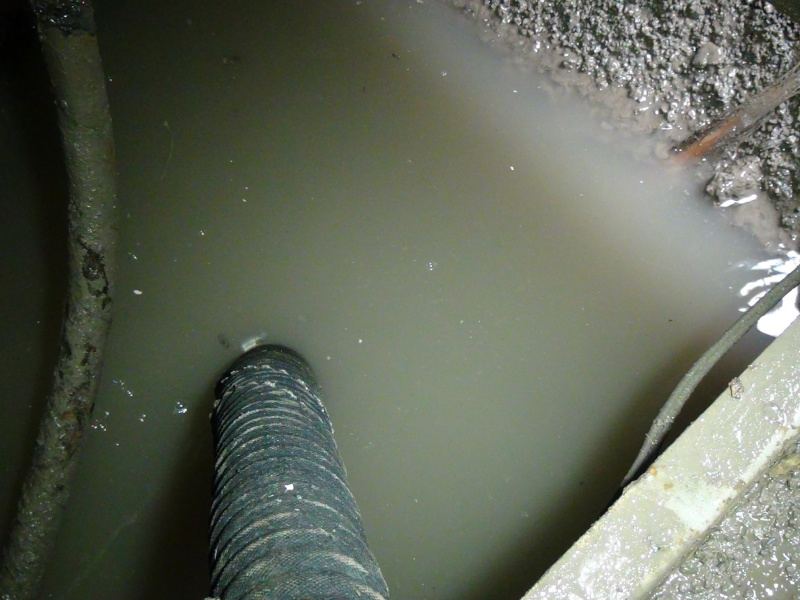 В Ивано-Франковской области затопило более 200 жилых зданий (фото)