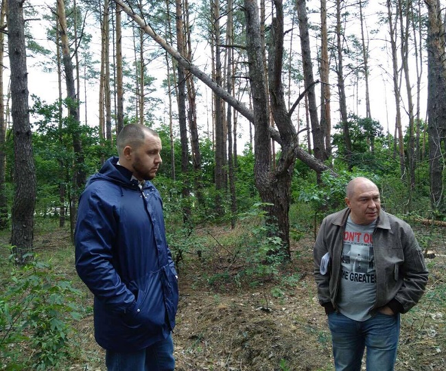 Лес в Гостомеле