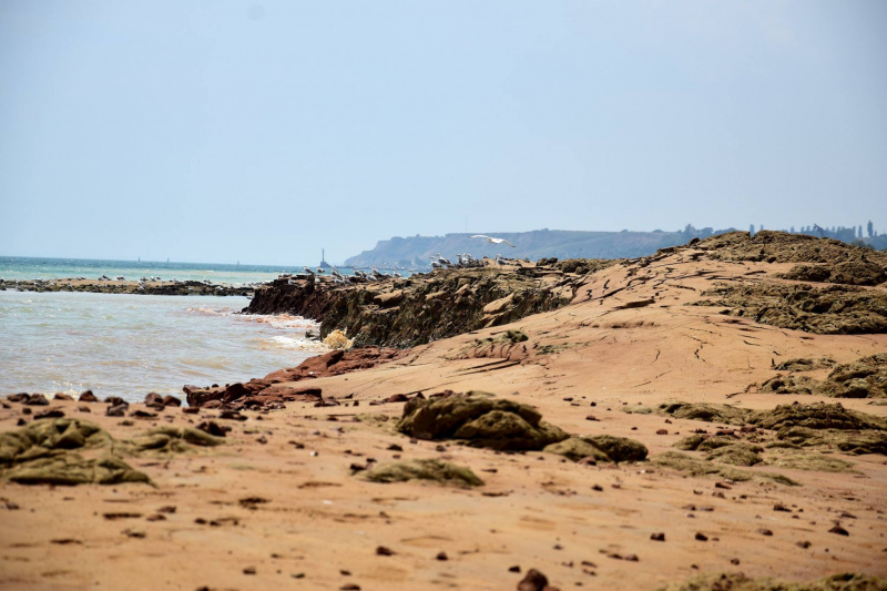 &quot;Не стоит ехать сюда отдыхать&quot;: под Одессой сошел сильный оползень (фото, видео)