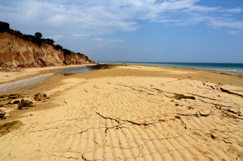 &quot;Не стоит ехать сюда отдыхать&quot;: под Одессой сошел сильный оползень (фото, видео)