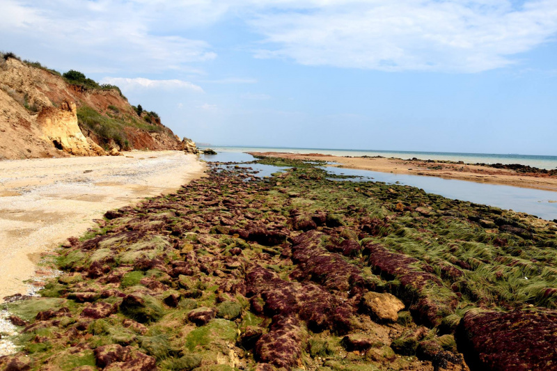 &quot;Не стоит ехать сюда отдыхать&quot;: под Одессой сошел сильный оползень (фото, видео)