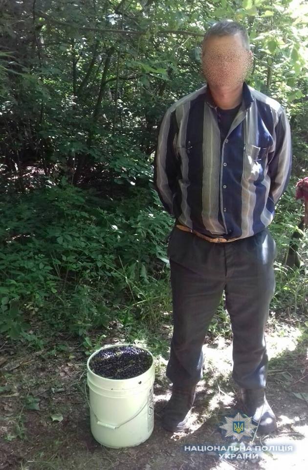 В зоне отчуждения полиция задержала сборщика радиоактивной черники