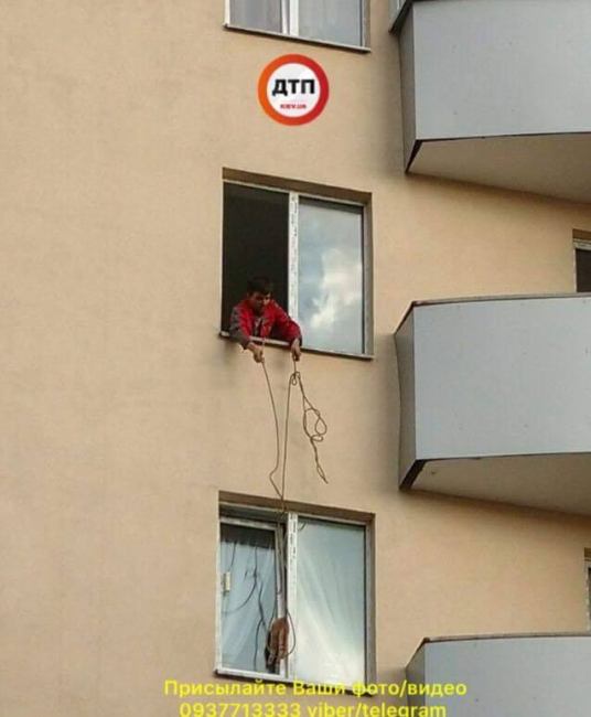 "Не залишайте без нагляду": у Києві кіт загинув, застрягши у вікні (фото, відео)