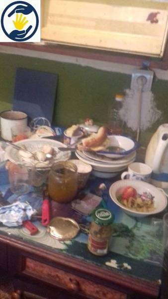 "В такие моменты рвется душа": 5-летнего голодающего сына пьяной матери забрали в детдом