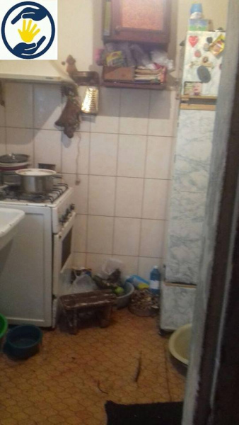 "В такие моменты рвется душа": 5-летнего голодающего сына пьяной матери забрали в детдом