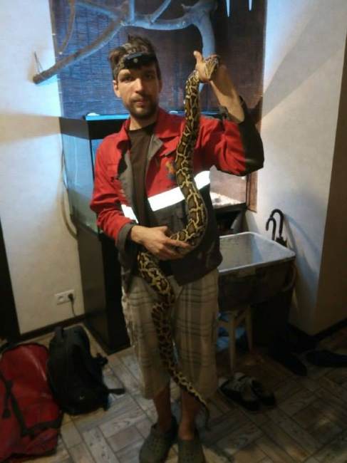 &quot;Остановкой ошибся&quot;: в Киеве на столбе заметили неожиданное животное (фото)