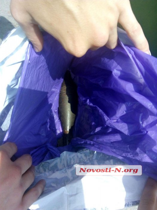 В Николаеве ветеран АТО перевозил в маршрутке боевую мину (фото)