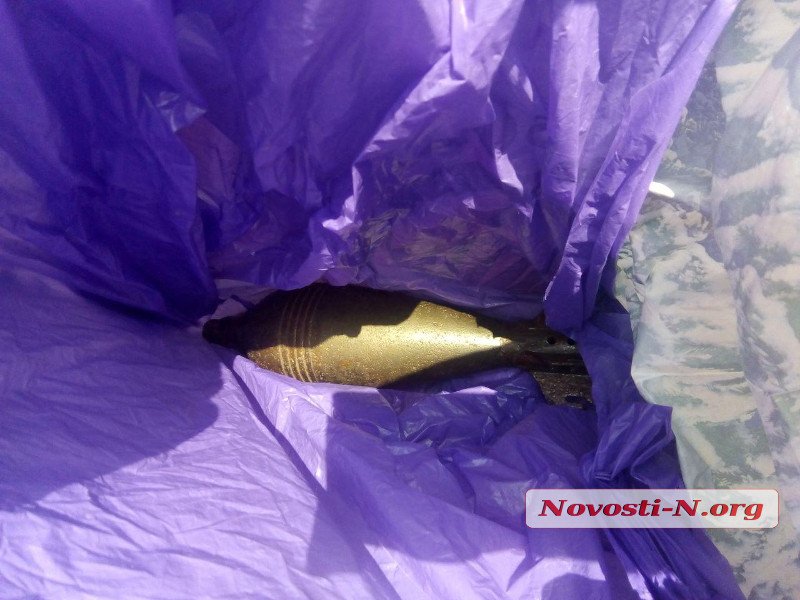 В Николаеве ветеран АТО перевозил в маршрутке боевую мину (фото)