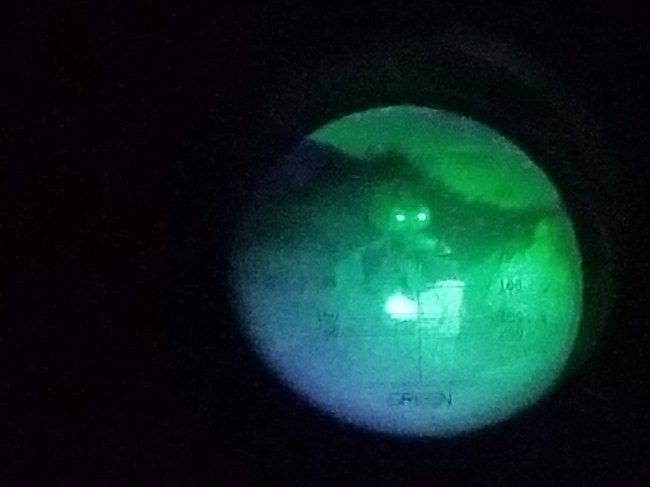 "Полетели в ад": украинские снайперы ликвидировали двоих боевиков-недоумков (фото)