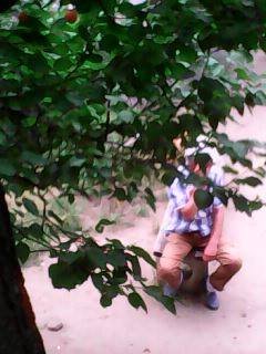 На дитячому майданчику в Миколаєві до дівчаток приставав ексгібіціоніст (фото)