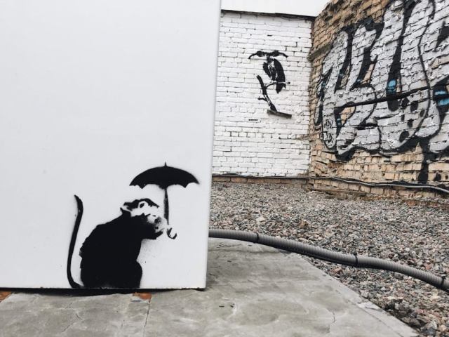 Это Бэнкси? В Киеве заметили граффити знаменитого художника (фото)