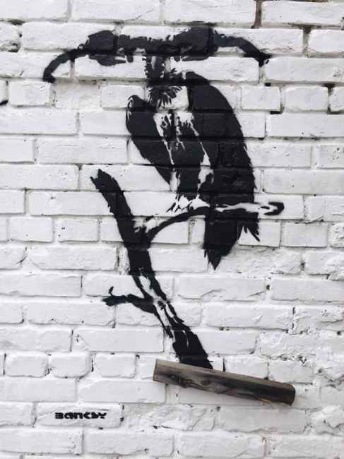 Это Бэнкси? В Киеве заметили граффити знаменитого художника (фото)