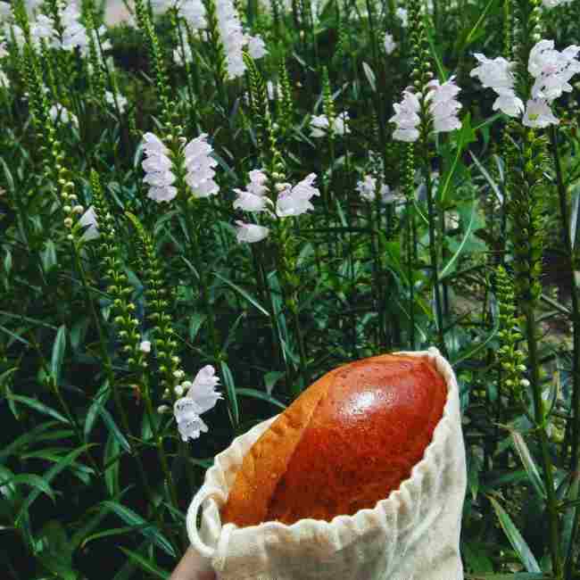 &quot;Місяць без пакету&quot;: як українка зважилася на важливий експеримент і що із цього вийшло