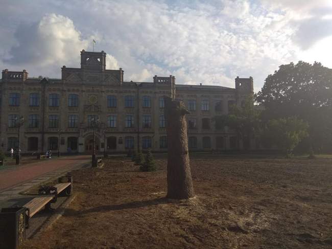 Знищення дерев у парку КПІ: проректор прокоментував спилювання 100-річних насаджень