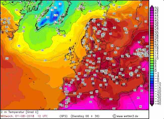 "Лесная карпатская свежесть": синоптик рассказала о погоде в первый день августа