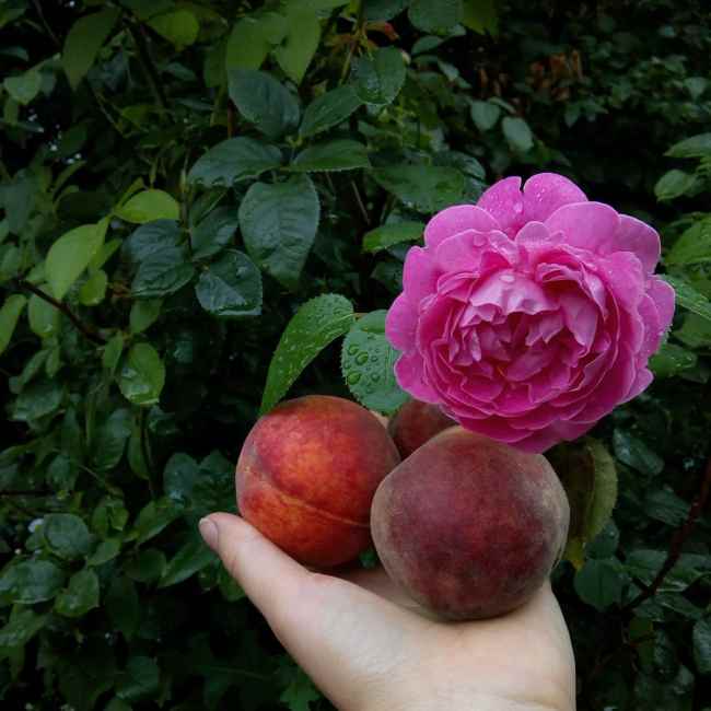 &quot;Месяц без пакета&quot;: как украинка решилась на важный эксперимент и что из этого вышло