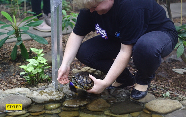 Месяц праздника на ВДНГ: какие развлечения ожидают киевлян в "Зимовій країні"