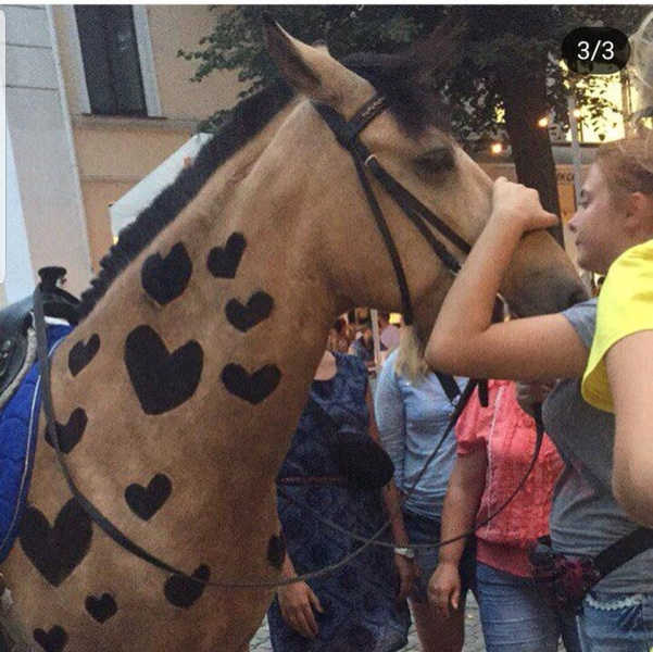 Бизнес на животных: в Одессе издеваются над лошадьми