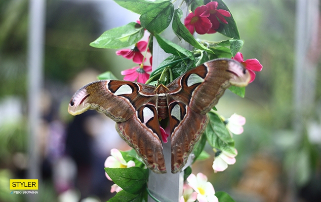 Каникулы с пользой: куда пойти со школьником