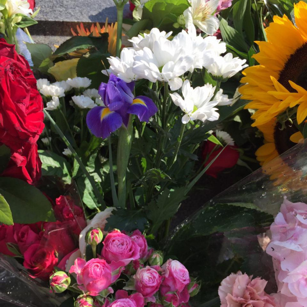 "Сенцов, живи": в Москве известный кинокритик провел одиночный пикет в поддержку политзаключенных